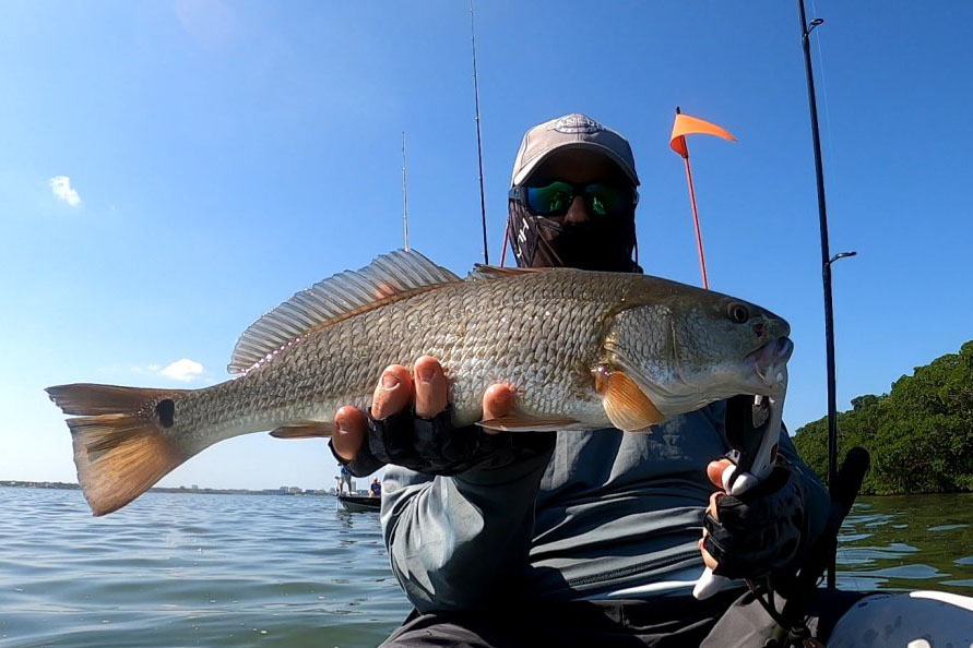 INSHORE - redfish 3