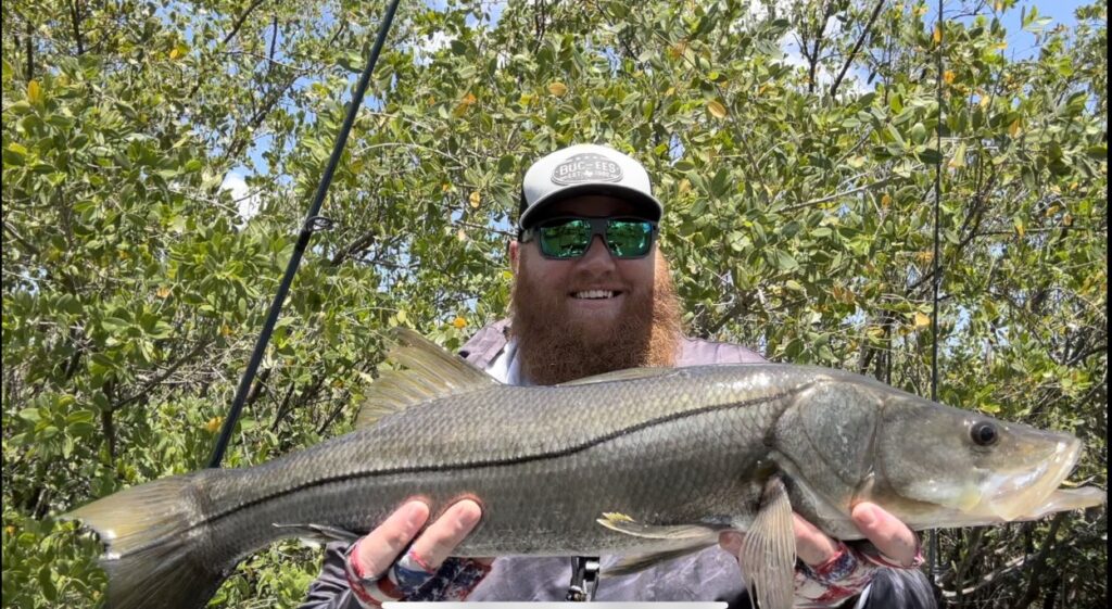 INSHORE - snook