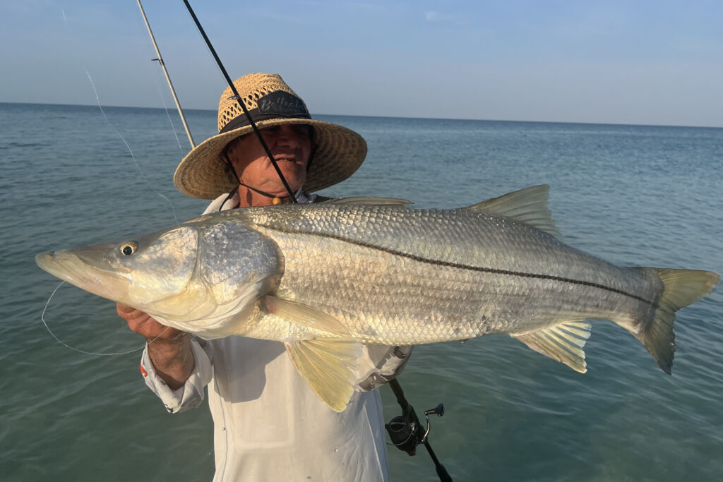 INSHORE - snook 11