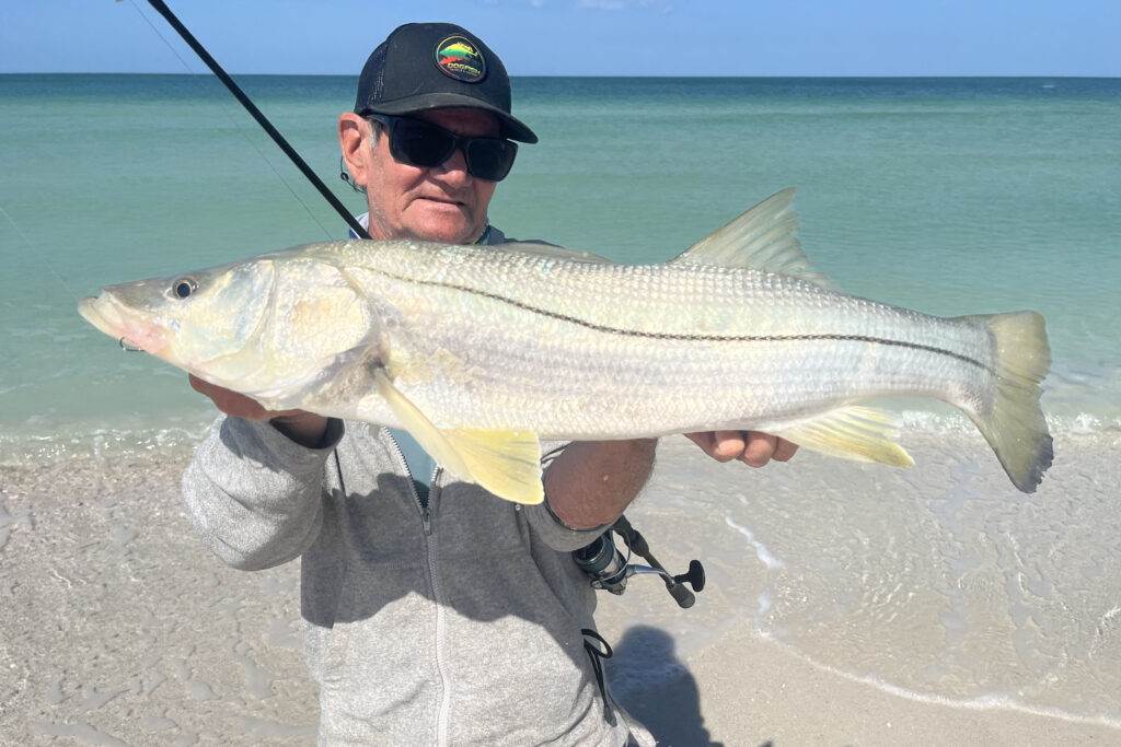 INSHORE - snook 6