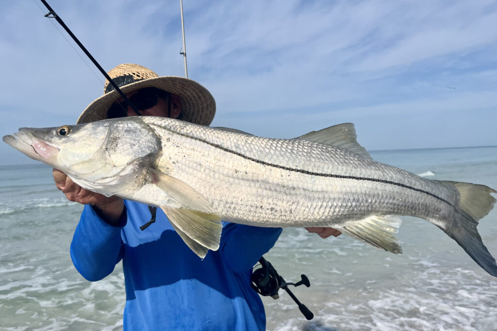 INSHORE - snook 7