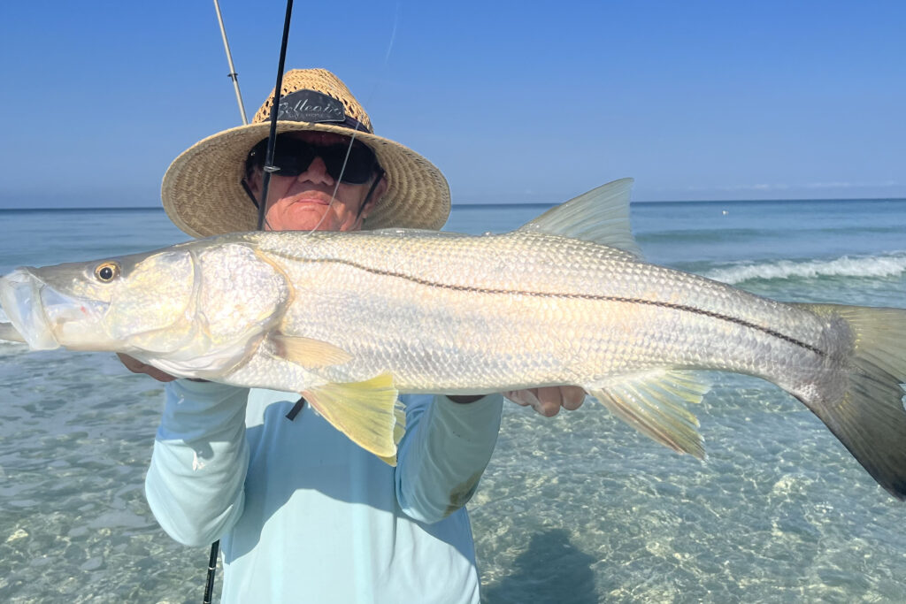 INSHORE - snook 8