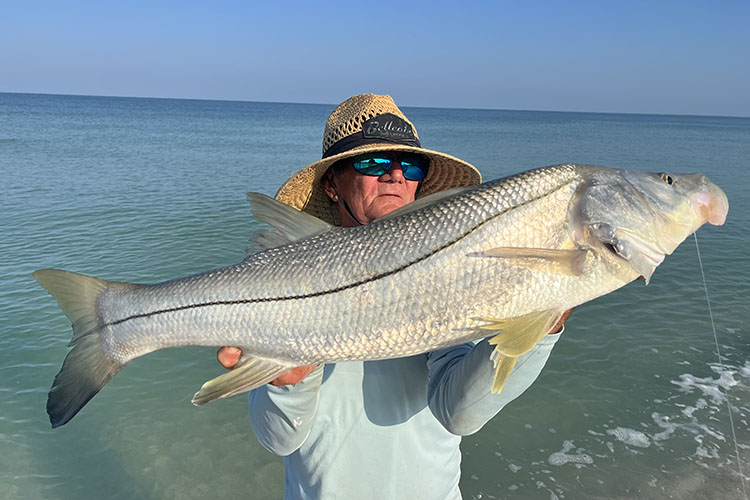 Snook Dock Light Fishing - St. Petersburg Fishing Charters