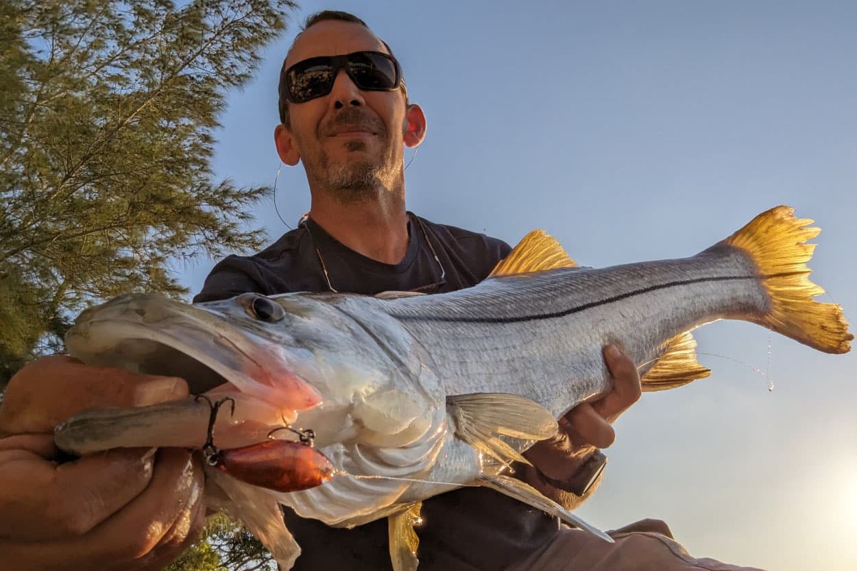 INSHORE - snook (1)