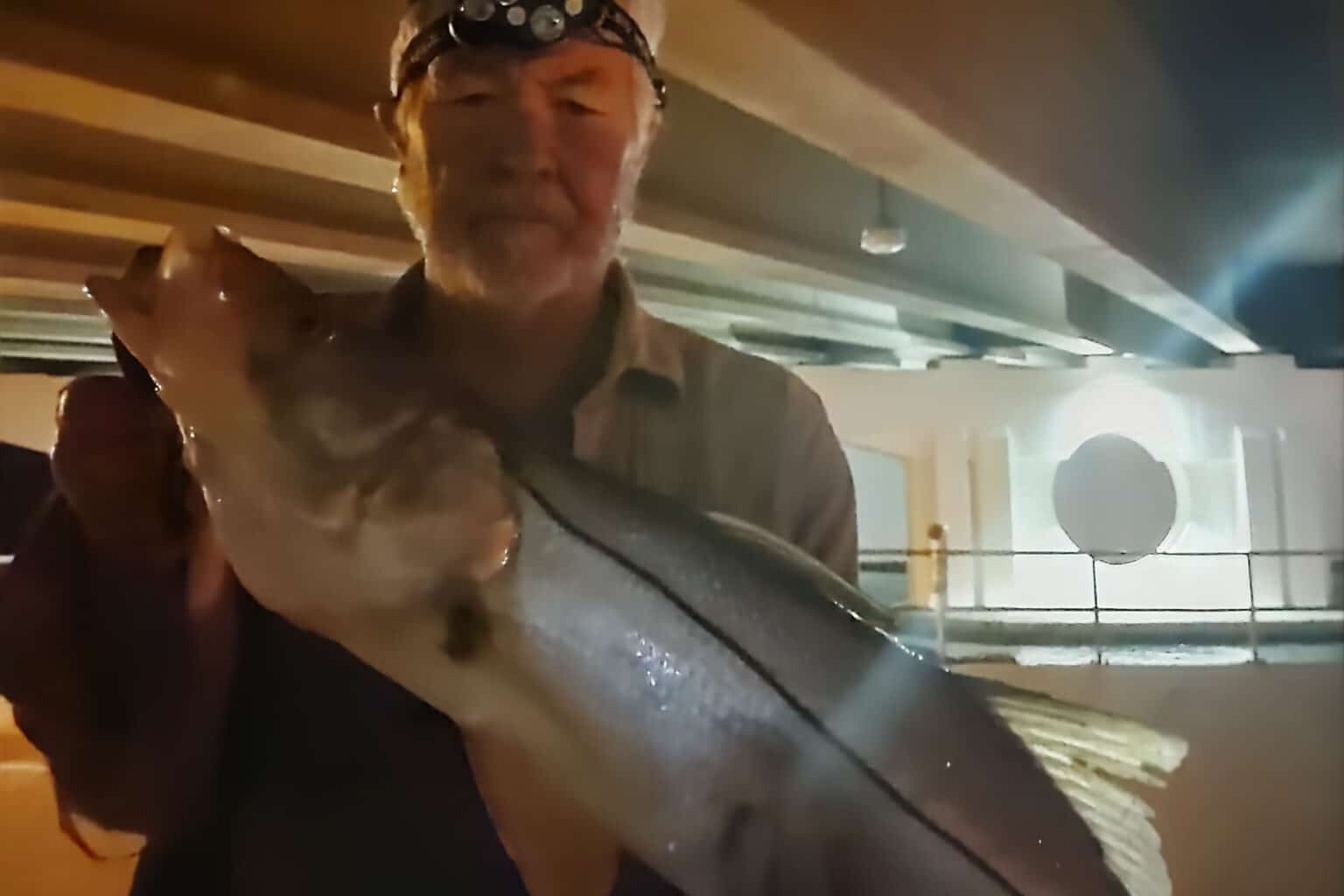 INSHORE - snook (14)