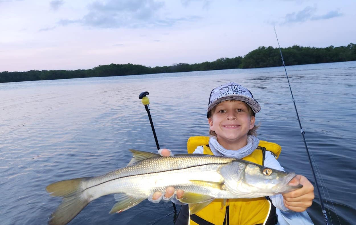 INSHORE - snook (2)