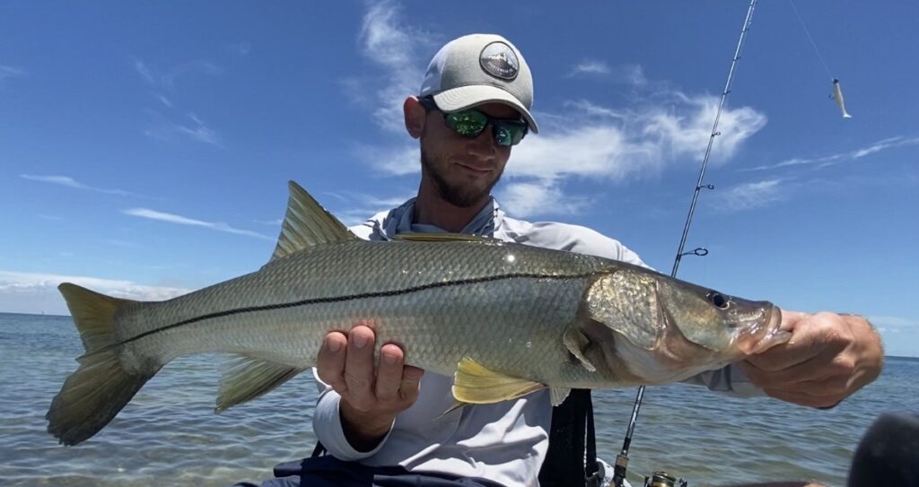 INSHORE - snook (4)