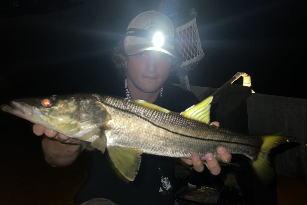 INSHORE - snook (8)