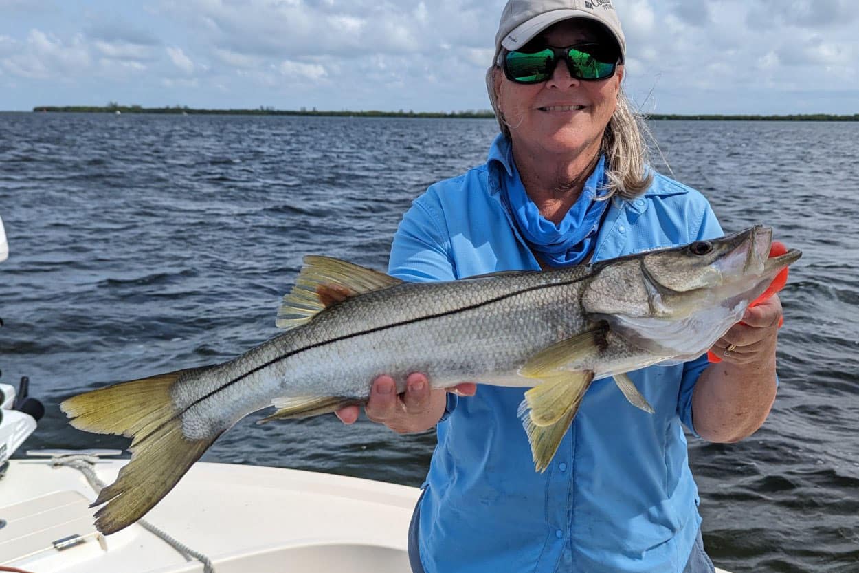 INSHORE - snook (9)