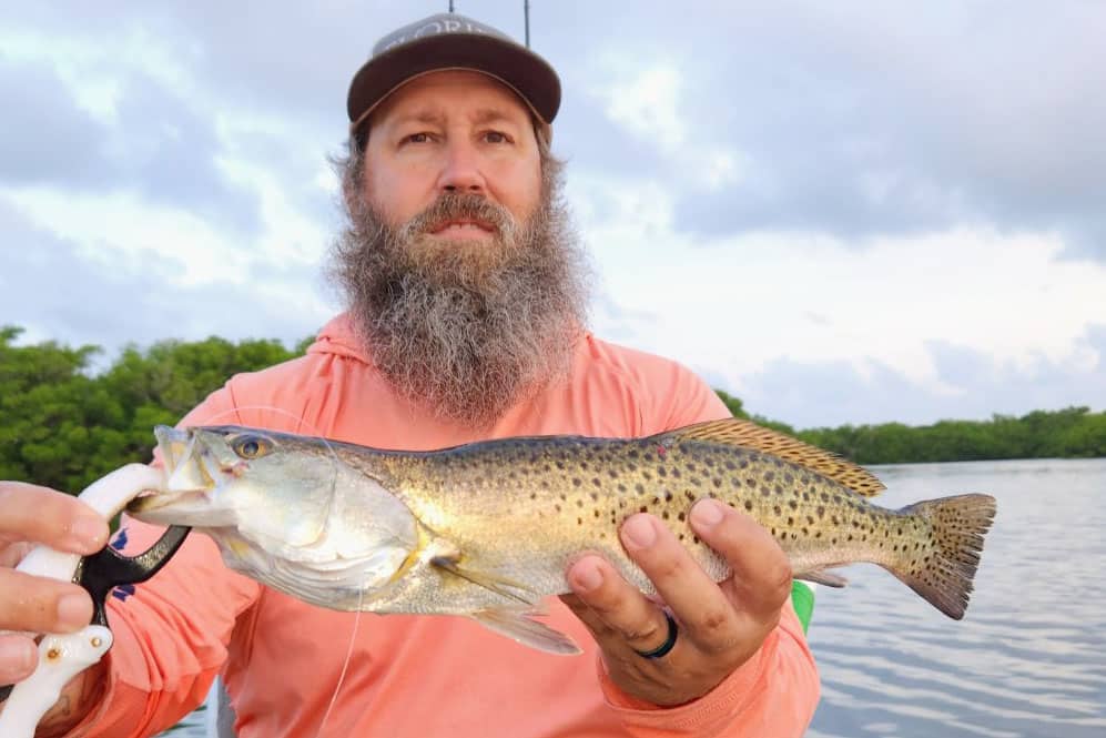INSHORE - trout (3)