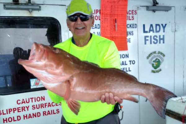 NEAR SHORE & OFFSHORE - red grouper (1)