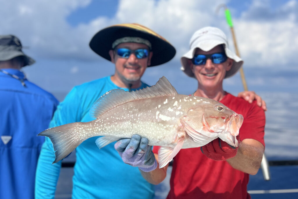 NEAR SHORE & OFFSHORE - red grouper (12)