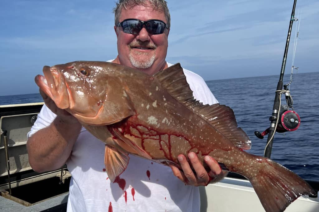 NEAR SHORE & OFFSHORE - red grouper (3)