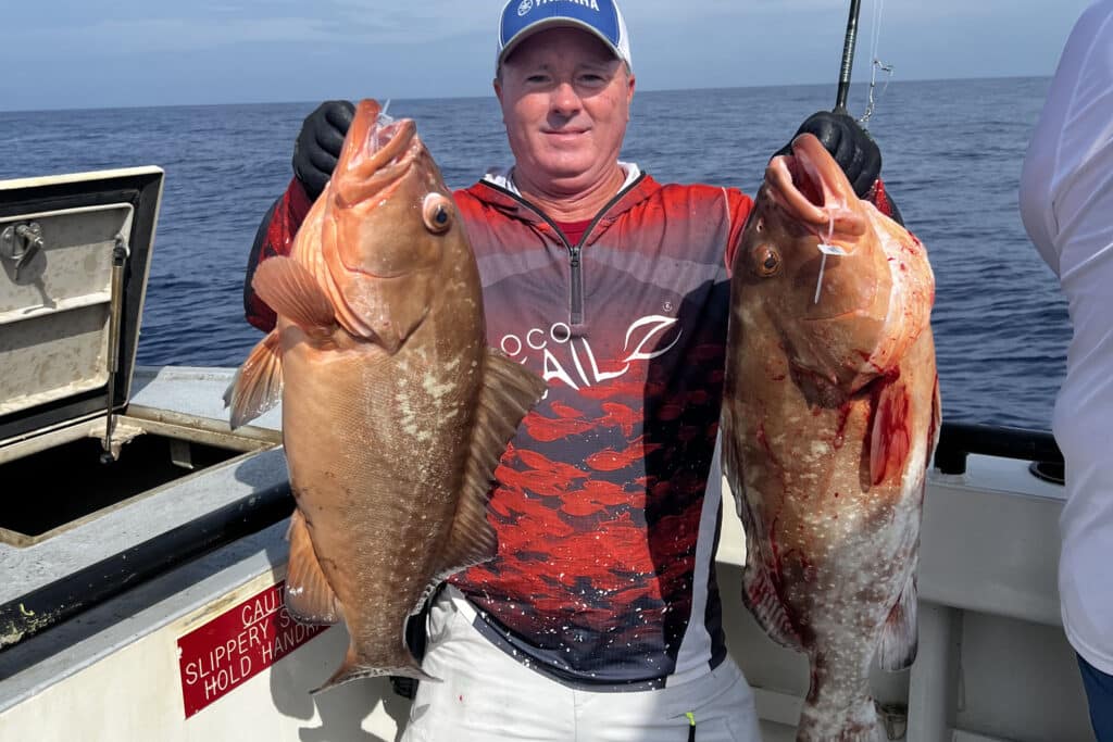 NEAR SHORE & OFFSHORE - red grouper (5)