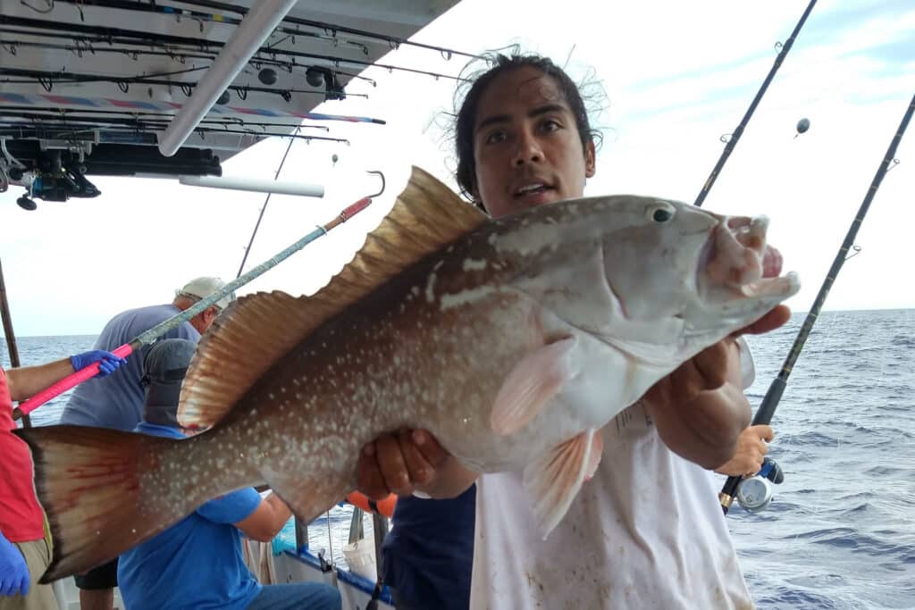 NEAR SHORE & OFFSHORE - red grouper (6)
