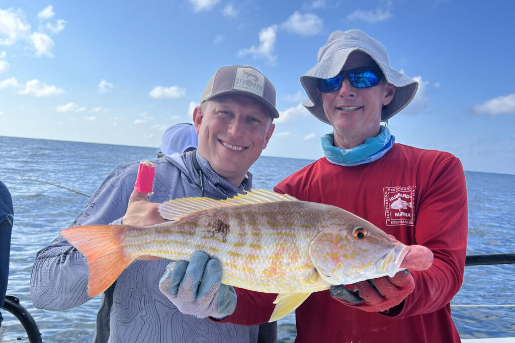 NEAR SHORE - lane snapper (1)