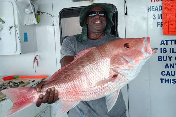 OFFSHORE - red snapper (1)