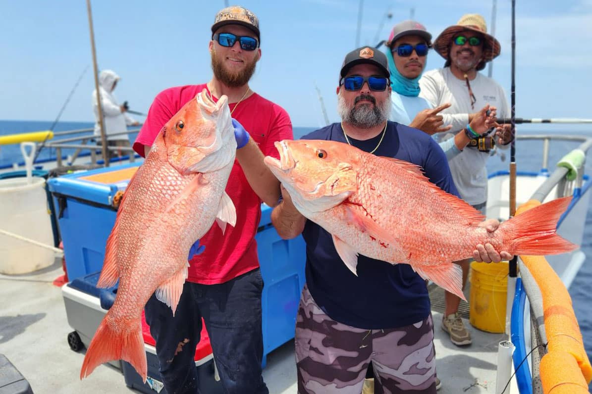 OFFSHORE - red snapper (13)