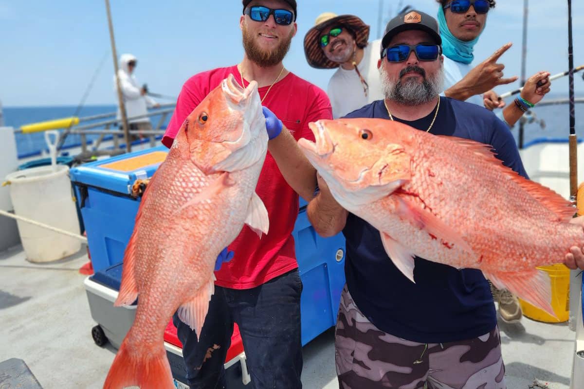 OFFSHORE - red snapper (14)
