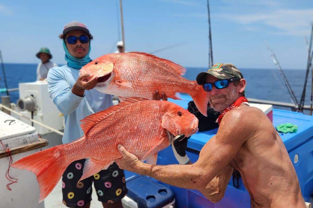 OFFSHORE - red snapper (15)