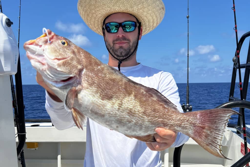 OFFSHORE - scamp grouper (2)