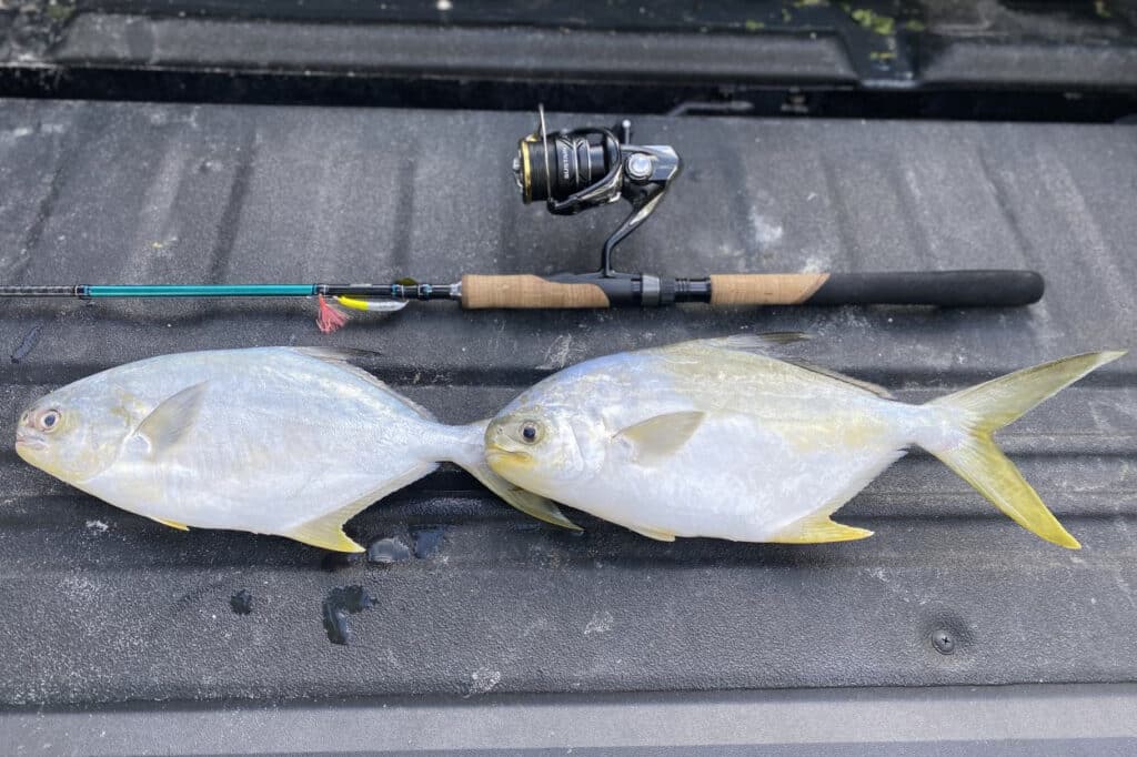 INSHORE-POMPANO