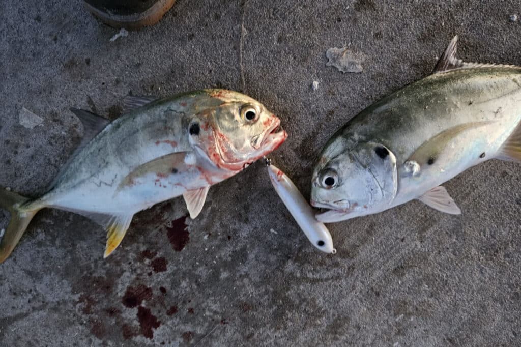 INSHORE-POMPANO2