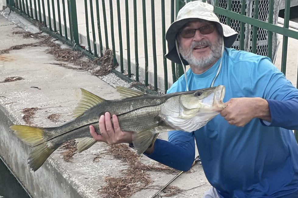 INSHORE-SNOOk2