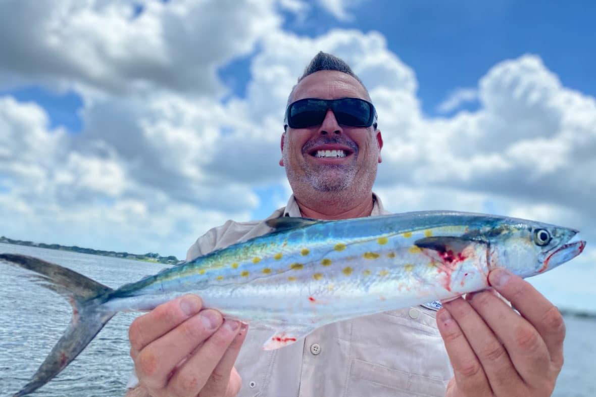 INSHORE - mackerel