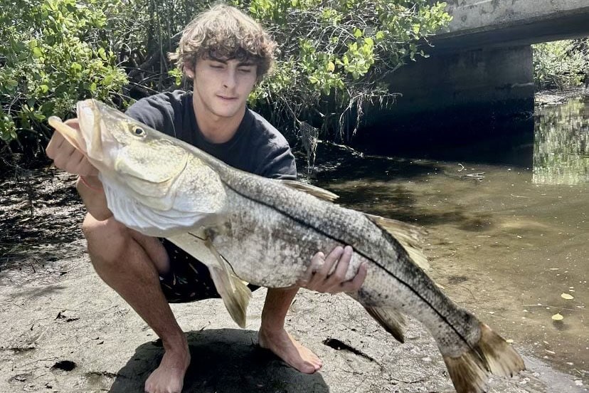 INSHORE - snook (4)
