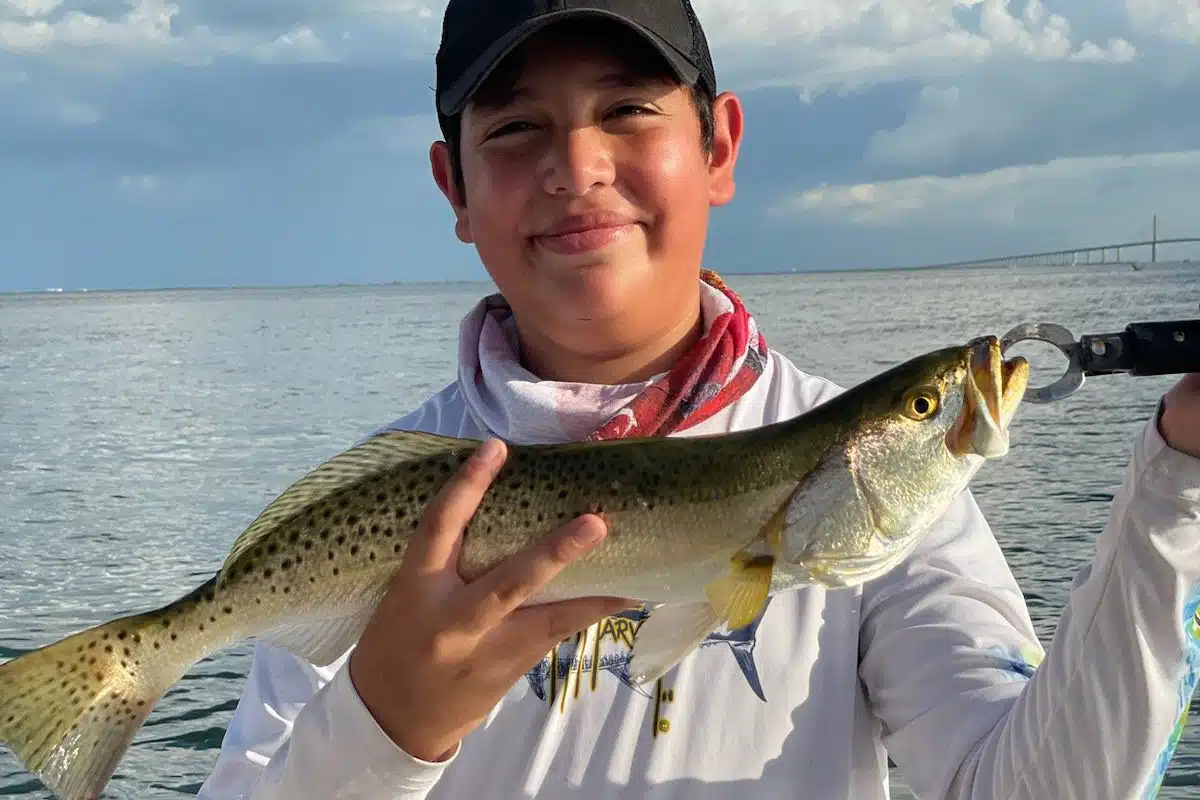 INSHORE - trout (3)