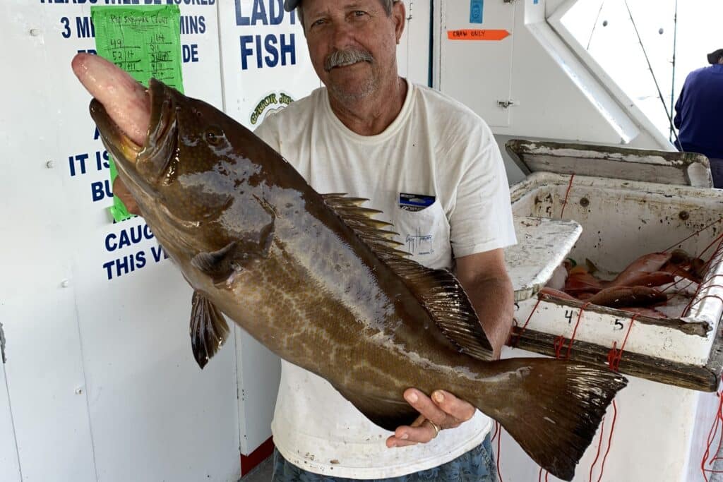 OFFSHORE - black grouper