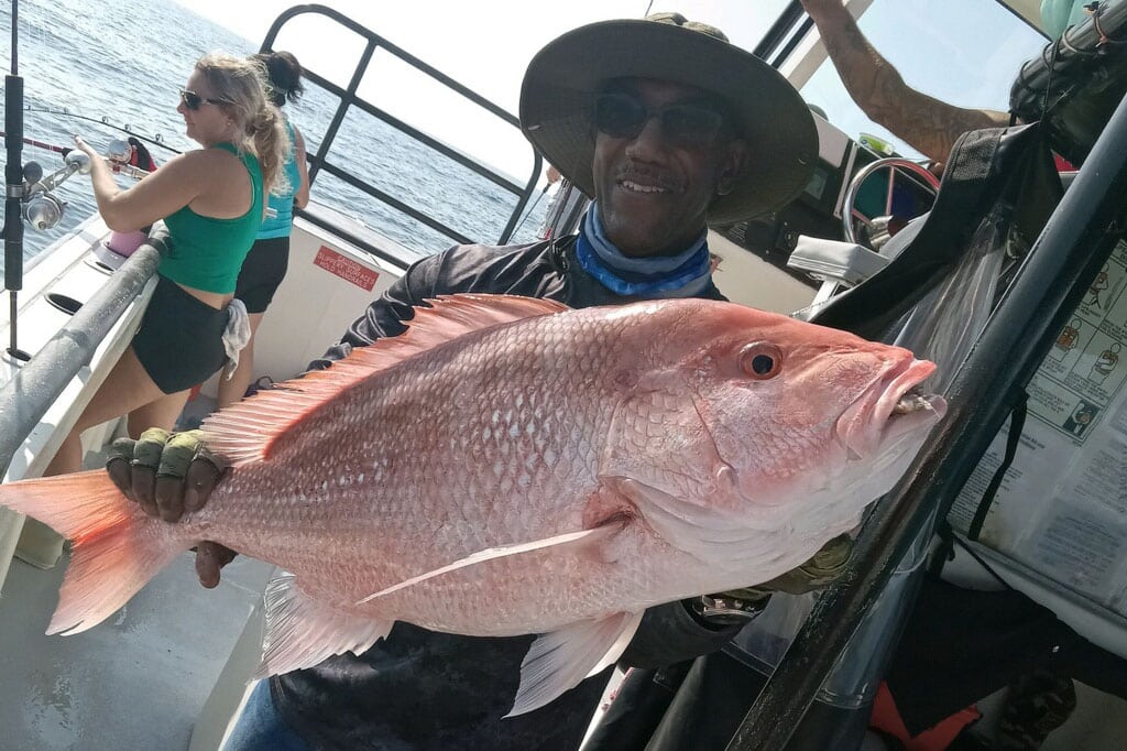 OFFSHORE - red snapper (2)