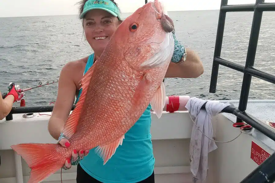 OFFSHORE - red snapper (3)