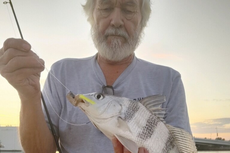 INSHORE - black drum