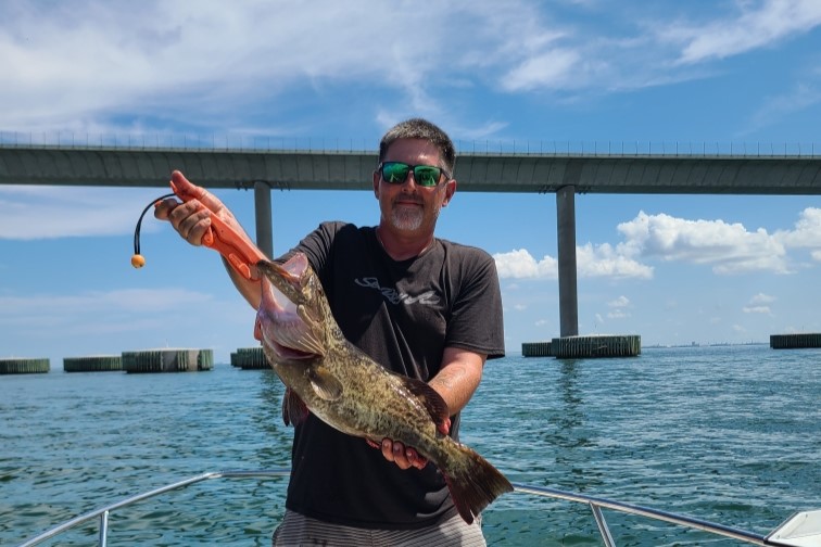 INSHORE - gag grouper