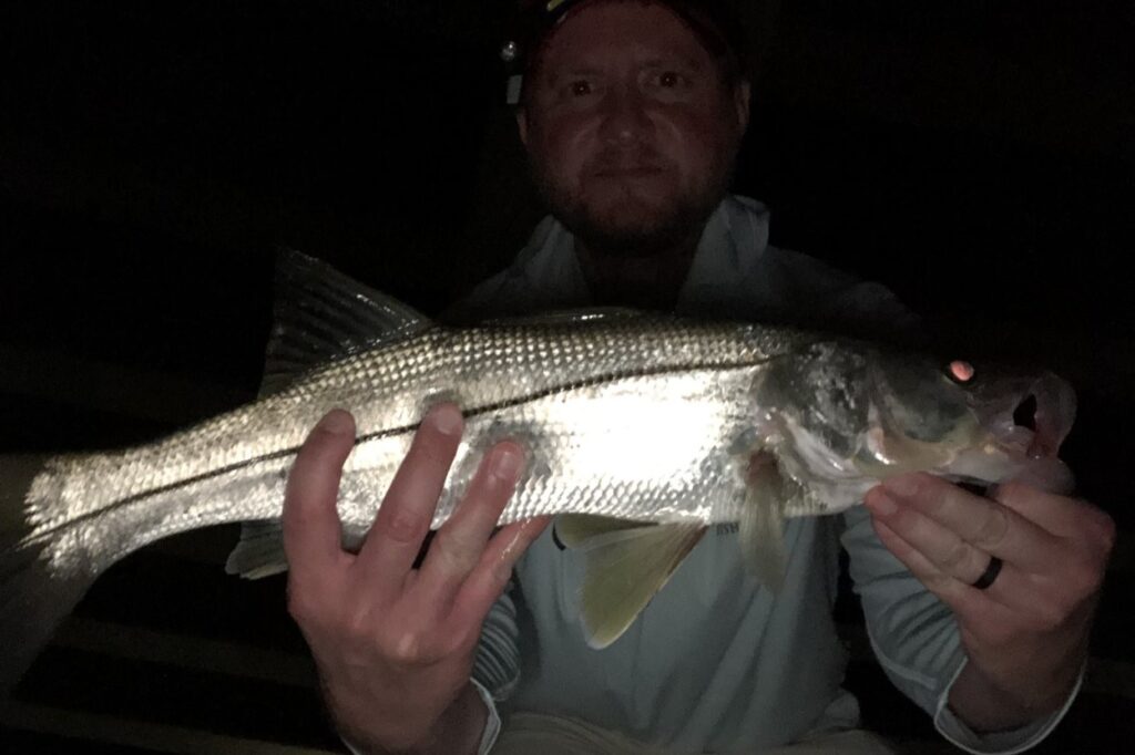 INSHORE - snook