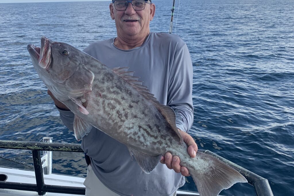 NEAR SHORE & OFFSHORE - gag grouper 1