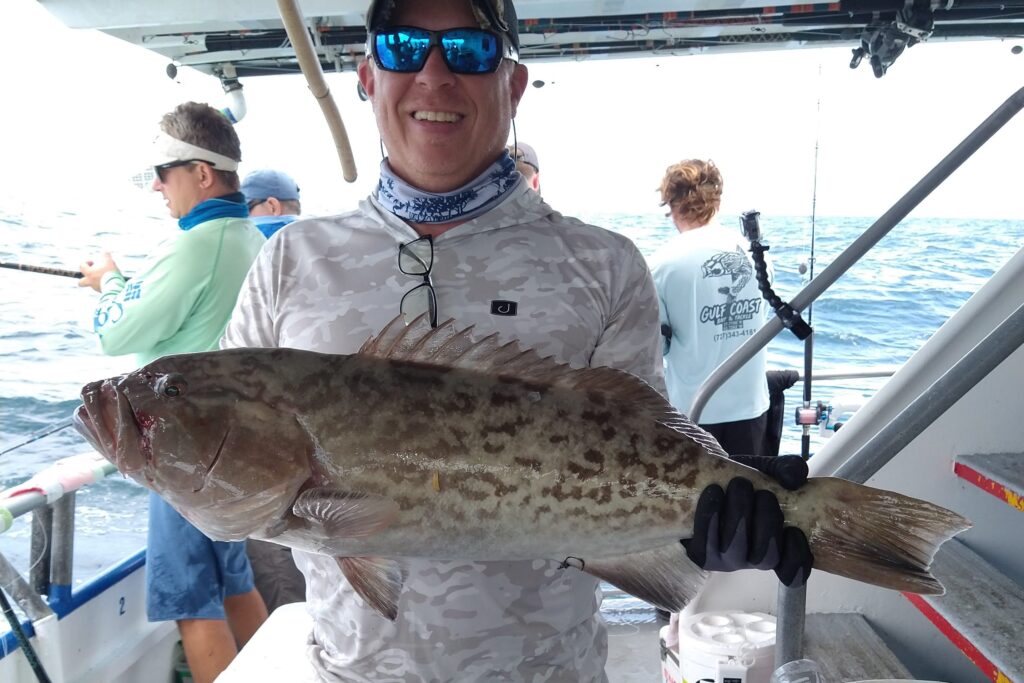 NEAR SHORE & OFFSHORE - gag grouper (12)