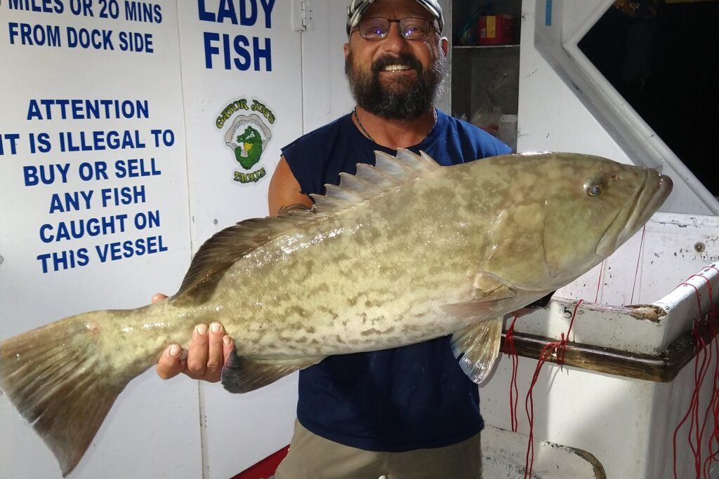 NEAR SHORE & OFFSHORE - gag grouper (15)