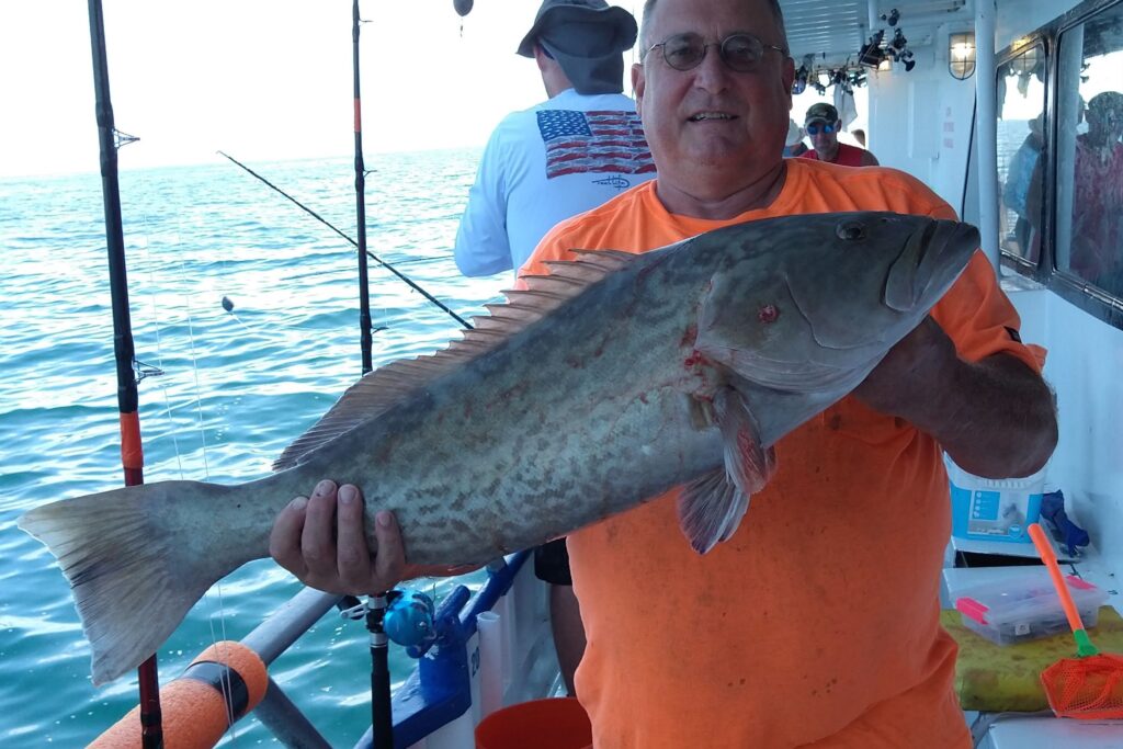 NEAR SHORE & OFFSHORE - gag grouper (17)