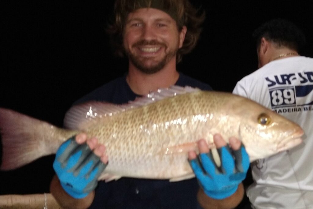 NEAR SHORE & OFFSHORE - mangrove snapper (2)