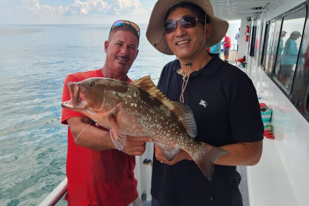 NEAR SHORE & OFFSHORE - red grouper (1)