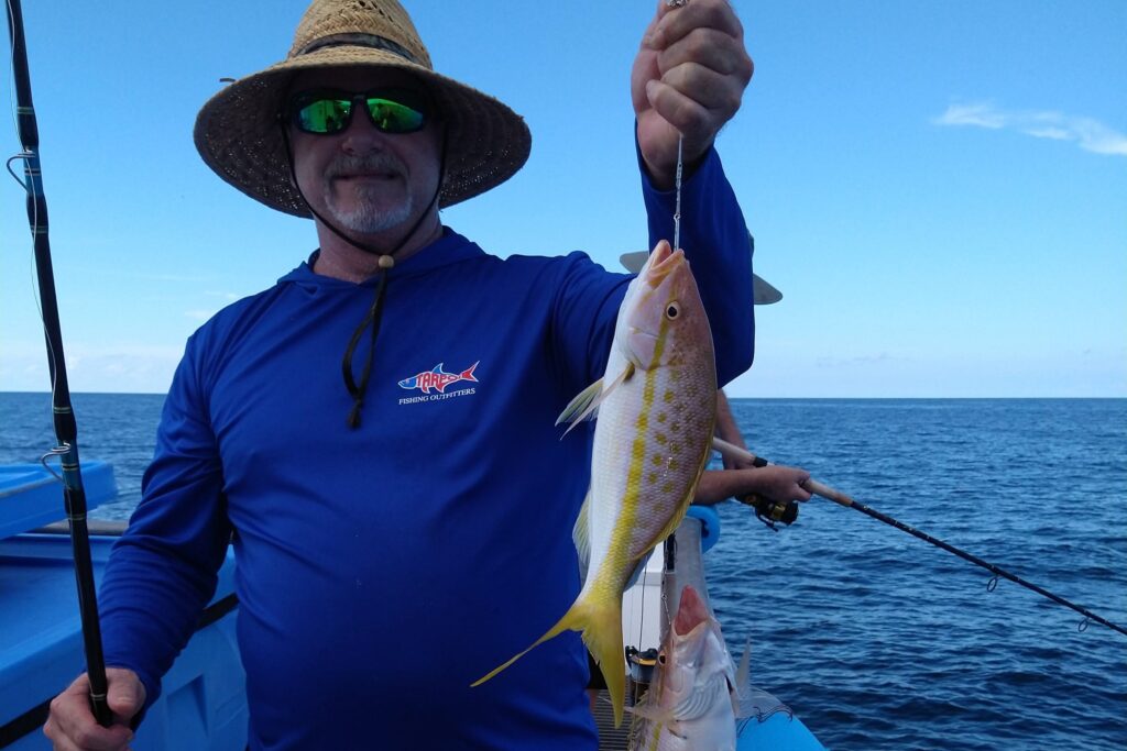 NEAR SHORE & OFFSHORE - yellowtail snapper (1)