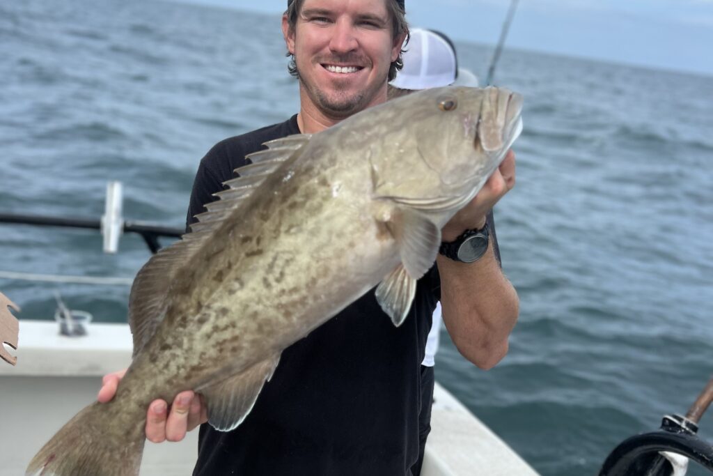 NEAR SHORE - gag grouper