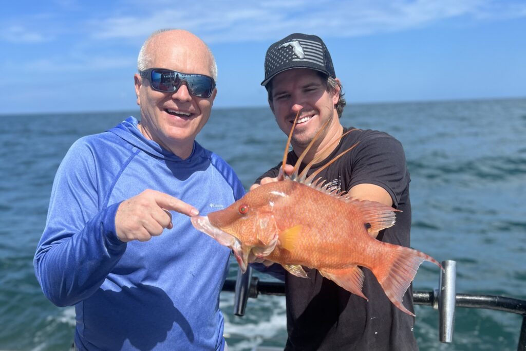 NEAR SHORE - hogfish (1)