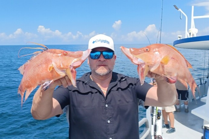 NEAR SHORE - hogfish (7)