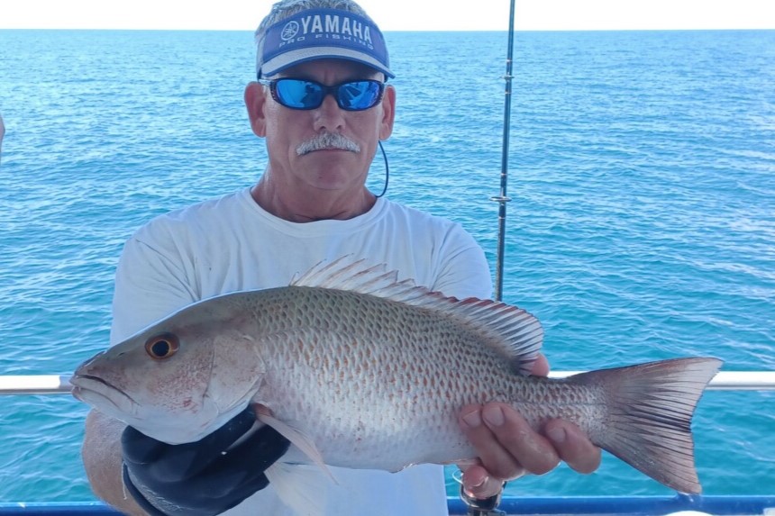 NEAR SHORE - mangrove snapper