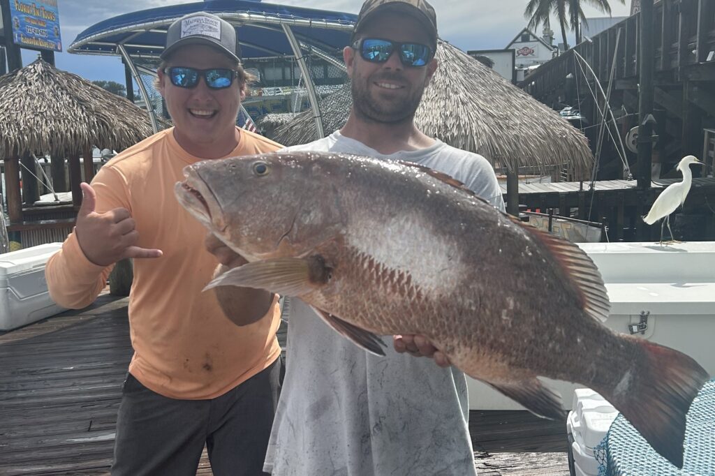 OFFSHORE - cubera snapper