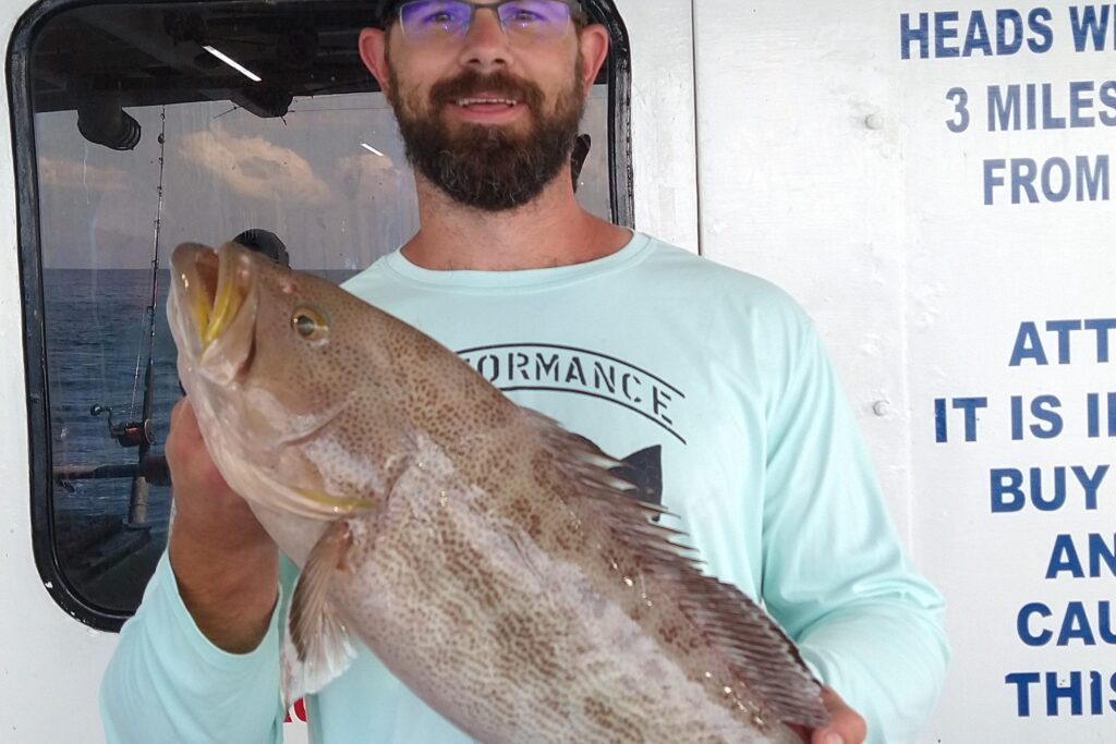 OFFSHORE - scamp grouper